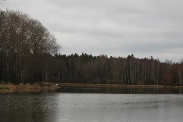 1. Laufveranstaltung 