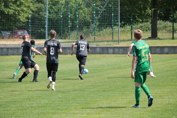 25. ST: SV Moßbach - SV Gleistal 90 2:1 (H: 1:1)