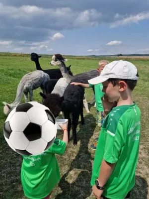 SVM-Feriencamp 2023 (Teil 1)