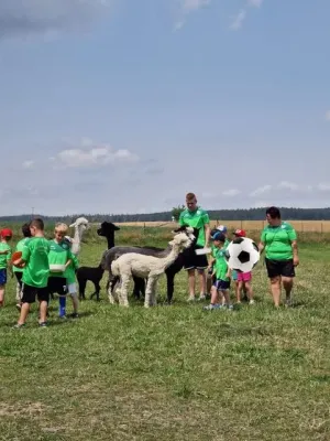 SVM-Feriencamp 2023 (Teil 1)