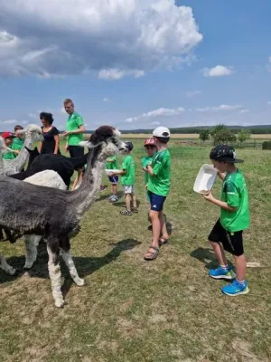 SVM-Feriencamp 2023 (Teil 1)