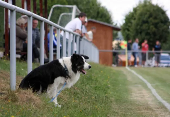 SV Moßbach : TSV Germania Krölpa