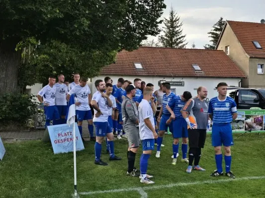 Testspiel: TSV Zollhaus - SGM 1:4 (H: 0:2)