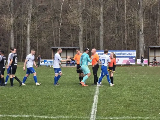 23. ST: SGM - SV Lobeda 77 II 6:0 (H: 4:0