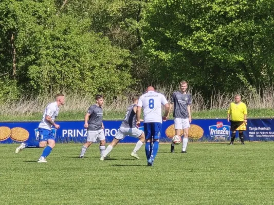 17. ST (NH): BSG Ch. Kahla II - SGM 1:6 (H: 1:4)