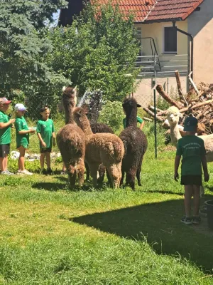 SVM-Feriencamp 2025 (Teil 1)