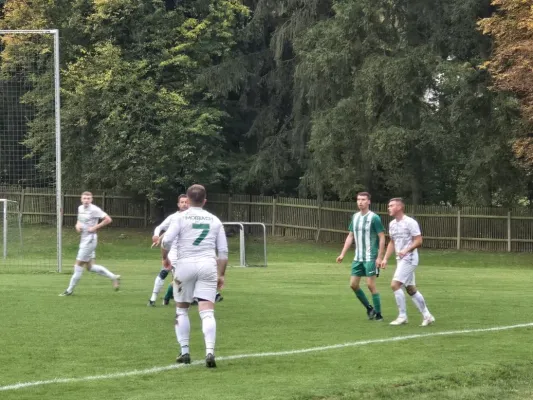 1. ST (NH): SV GW Tanna - SGM 2:1 (H: 2:0)