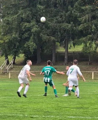 1. ST (NH): SV GW Tanna - SGM 2:1 (H: 2:0)