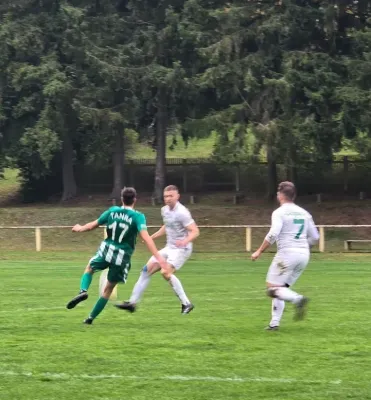 1. ST (NH): SV GW Tanna - SGM 2:1 (H: 2:0)