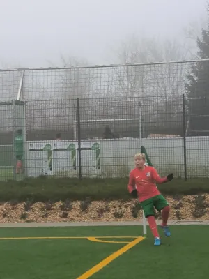 Bilder zur Herbstmeisterschaft D-Junioren 2025