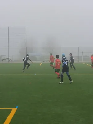 Bilder zur Herbstmeisterschaft D-Junioren 2025