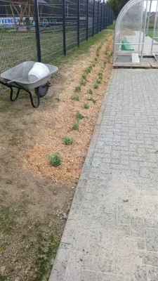 Jahresrückblick: Bilder des Jahres 2025