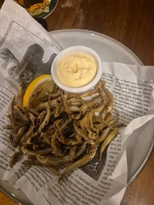 Trainingslager Pilsen in 02/2026