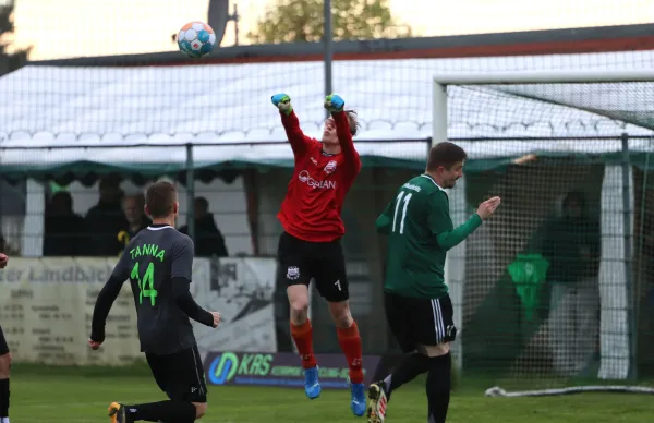 26. ST: SG SV Moßbach - SG SV Tanna 7:2 (2:1)