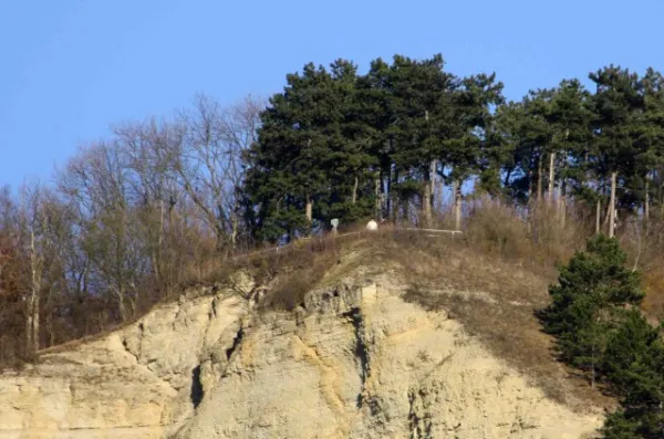 13. Spieltag SV 1910 Kahla : SV Moßbach