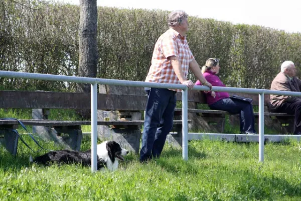 25. Spieltag SV Moßbach : SV Hermsdorf