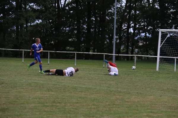 10.08.2019 Blau-Weiß Greiz vs. SV Moßbach